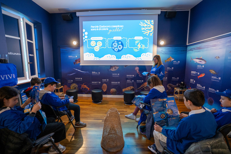 Deldini MedCoral Guardians 1