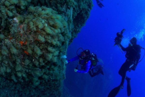 1425a9c2 0647 4d5d A1d5 9cd8cb688f47