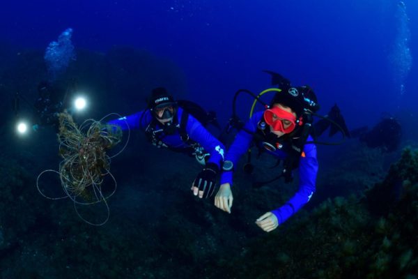 8c3bef44 65f3 4829 A868 7af7ce274ef2