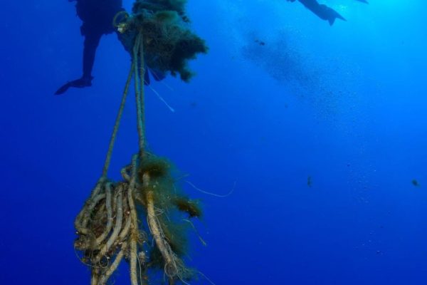 Bccd310b 45f3 43b9 B49e Cf0a0e8ff2e6