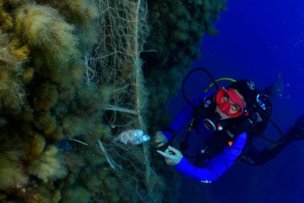 Daa84124 D9b4 4b8a 89f0 76f360630cfe