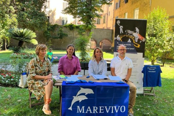 WhatsApp Image 2023 08 28 At 16.38.26