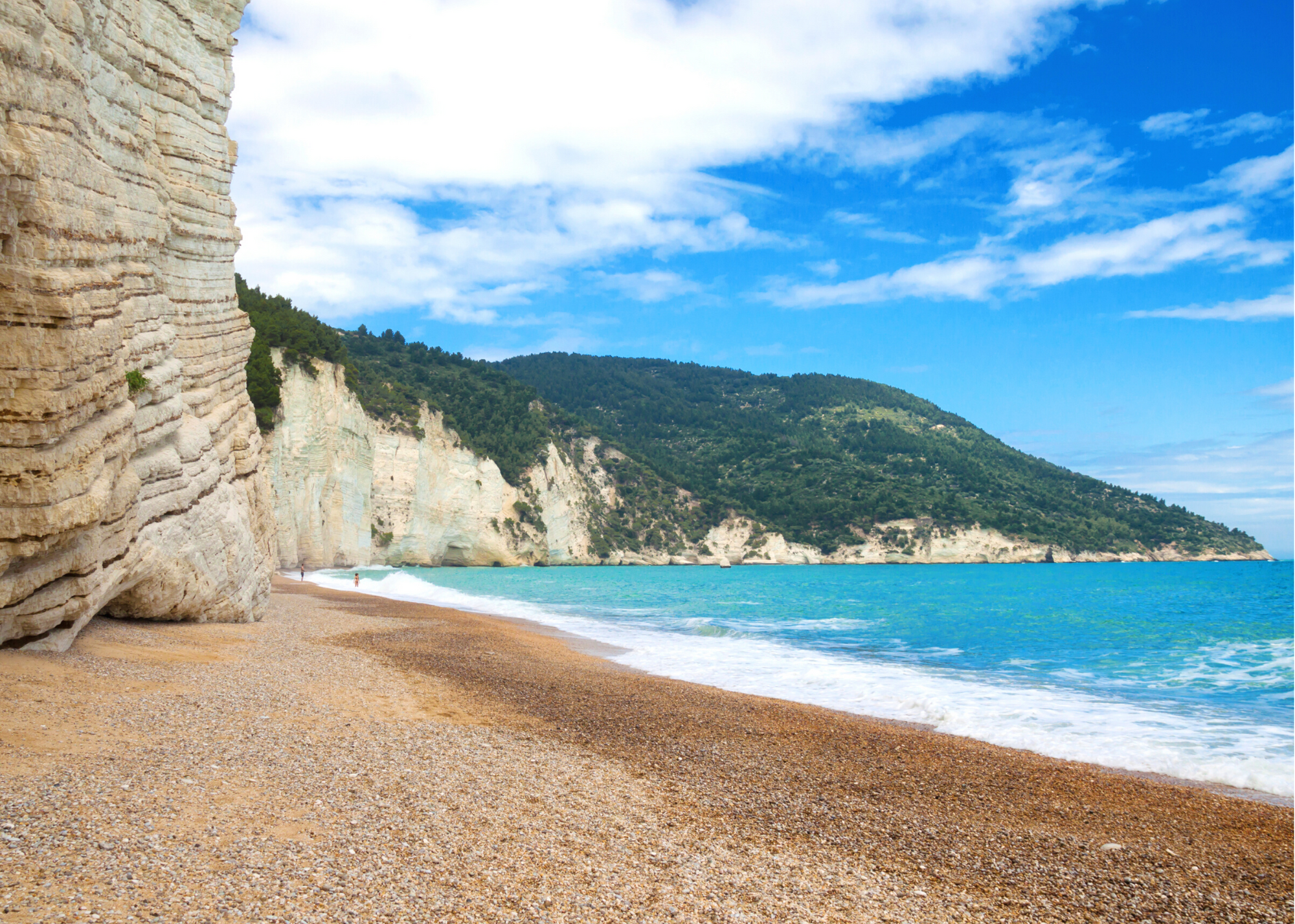 Adotta una spiaggia – Puglia