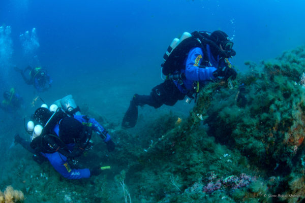 DSC 3151 Modifica DSC 3151 Modifica