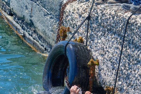 MAREVIVO PANTELLERIA 8