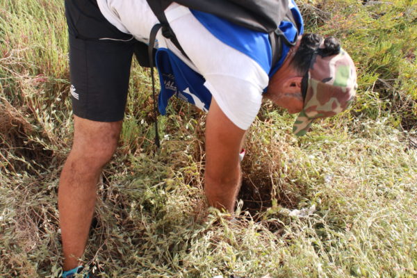 20210619171641 IMG 3148 20210619171641 IMG 3148