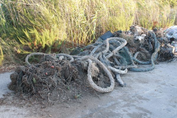 213786957 1054004708467521 3997956113732753990 N