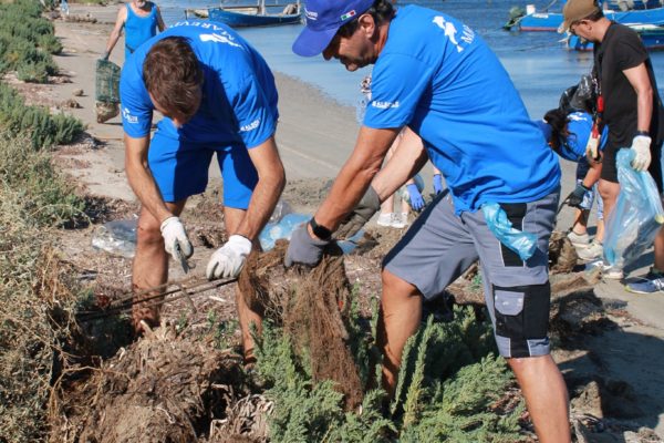 214185679 1054004931800832 2571117302815918910 N