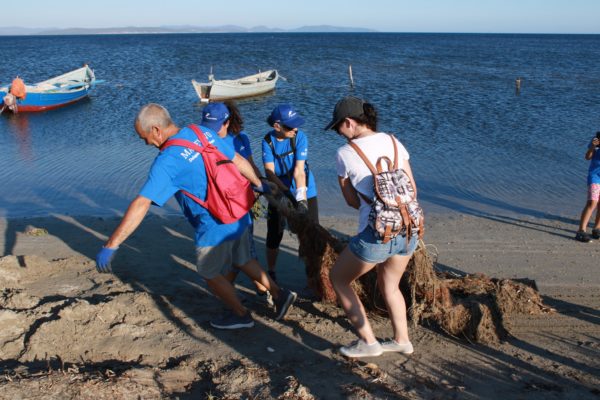 214697453 1054004781800847 2248632733480698804 N