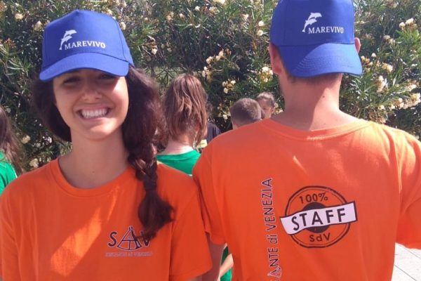 217993477 175318391296742 7739519534882863604 N