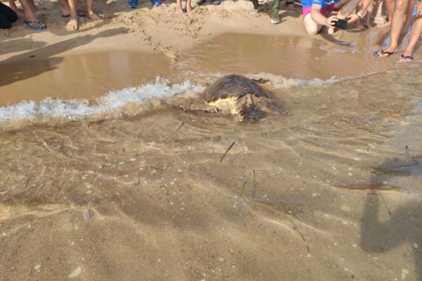 WhatsApp Image 2021 07 12 At 13.30.40 (1)