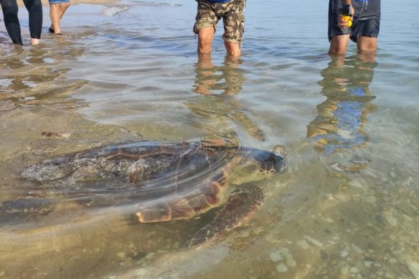 WhatsApp Image 2021 07 12 At 13.30.40