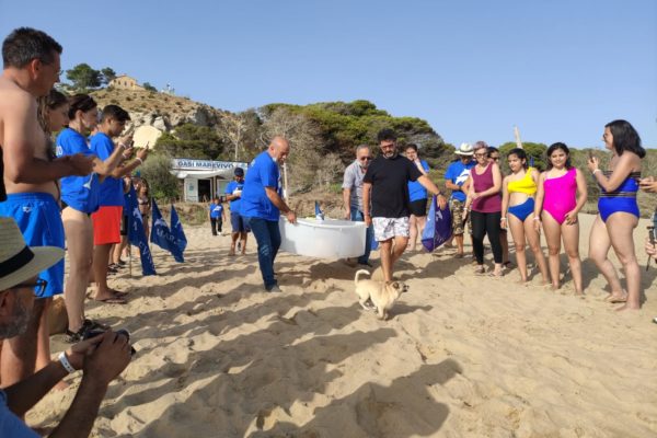 WhatsApp Image 2021 07 12 At 13.30.51