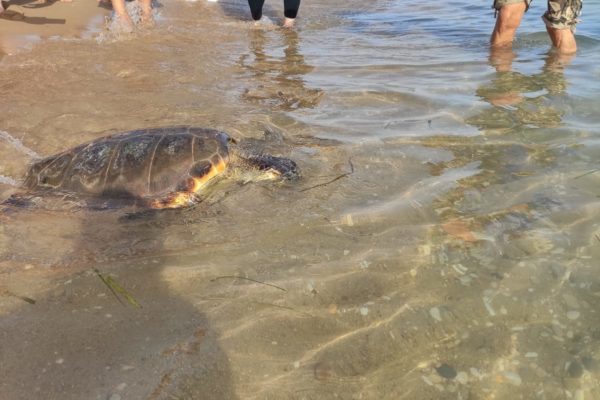 WhatsApp Image 2021 07 12 At 13.30.55