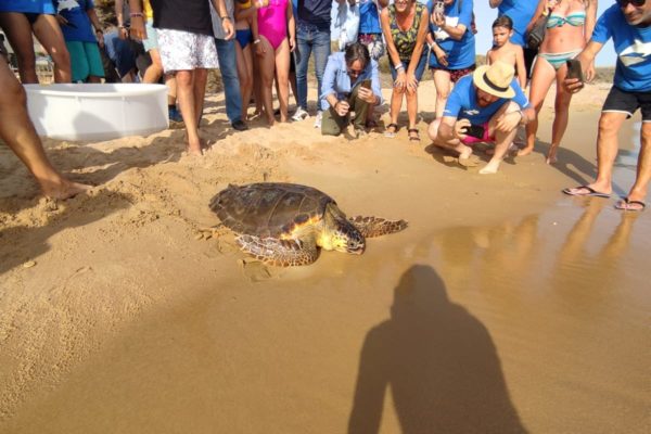 WhatsApp Image 2021 07 12 At 13.30.56