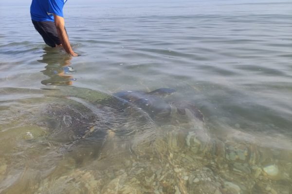 WhatsApp Image 2021 07 12 At 13.30.57 (1)