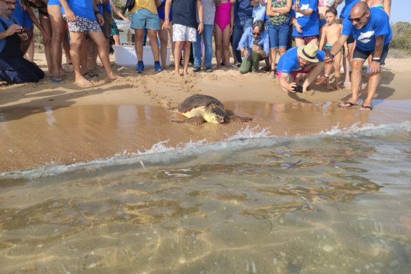 WhatsApp Image 2021 07 12 At 13.30.57