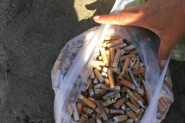 242436483 384392026498413 1983526299977461589 N