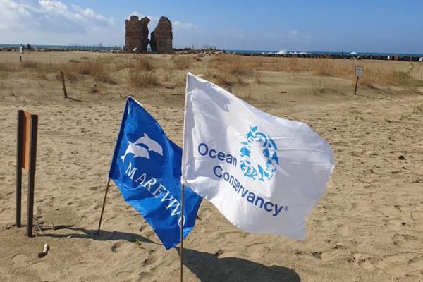 242440561 384391896498426 5094825497060632037 N