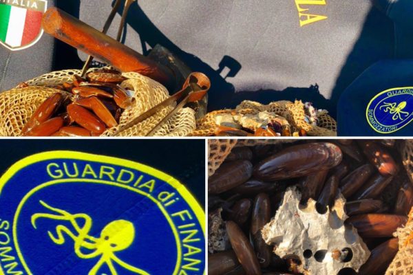 4c16302f E033 4394 97a8 080e49961c22 4c16302f E033 4394 97a8 080e49961c22