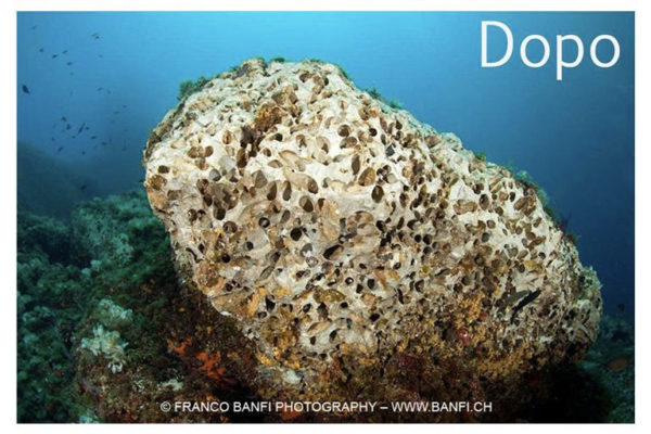 E8f081dc 988a 4ae6 A832 58a8887e692e (1) E8f081dc 988a 4ae6 A832 58a8887e692e (1)