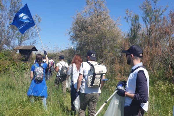 Pulizia Torre Flavia 2