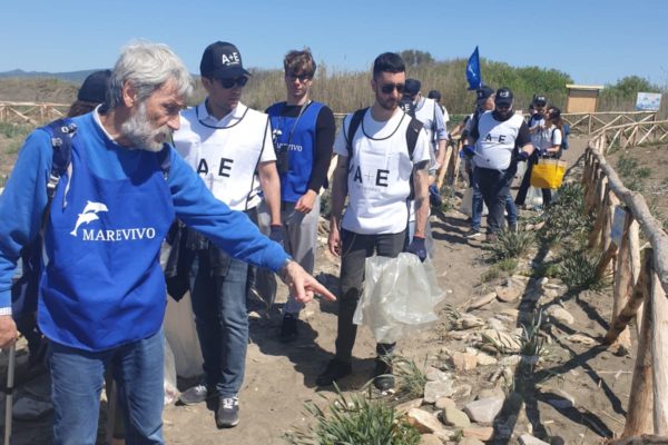 Pulizia Torre Flavia 3