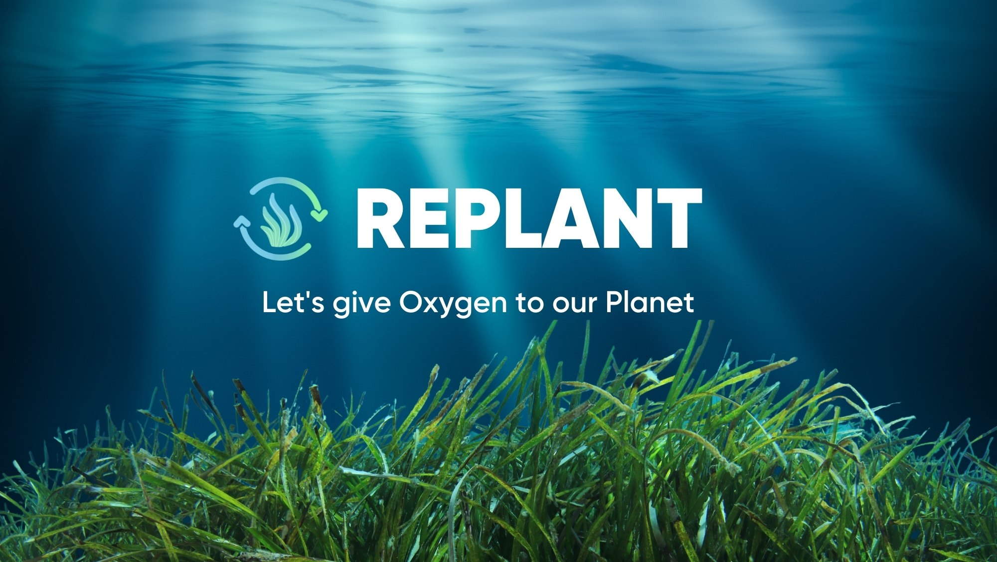 RePlant – Let’s Protect and Replant Sea Forests