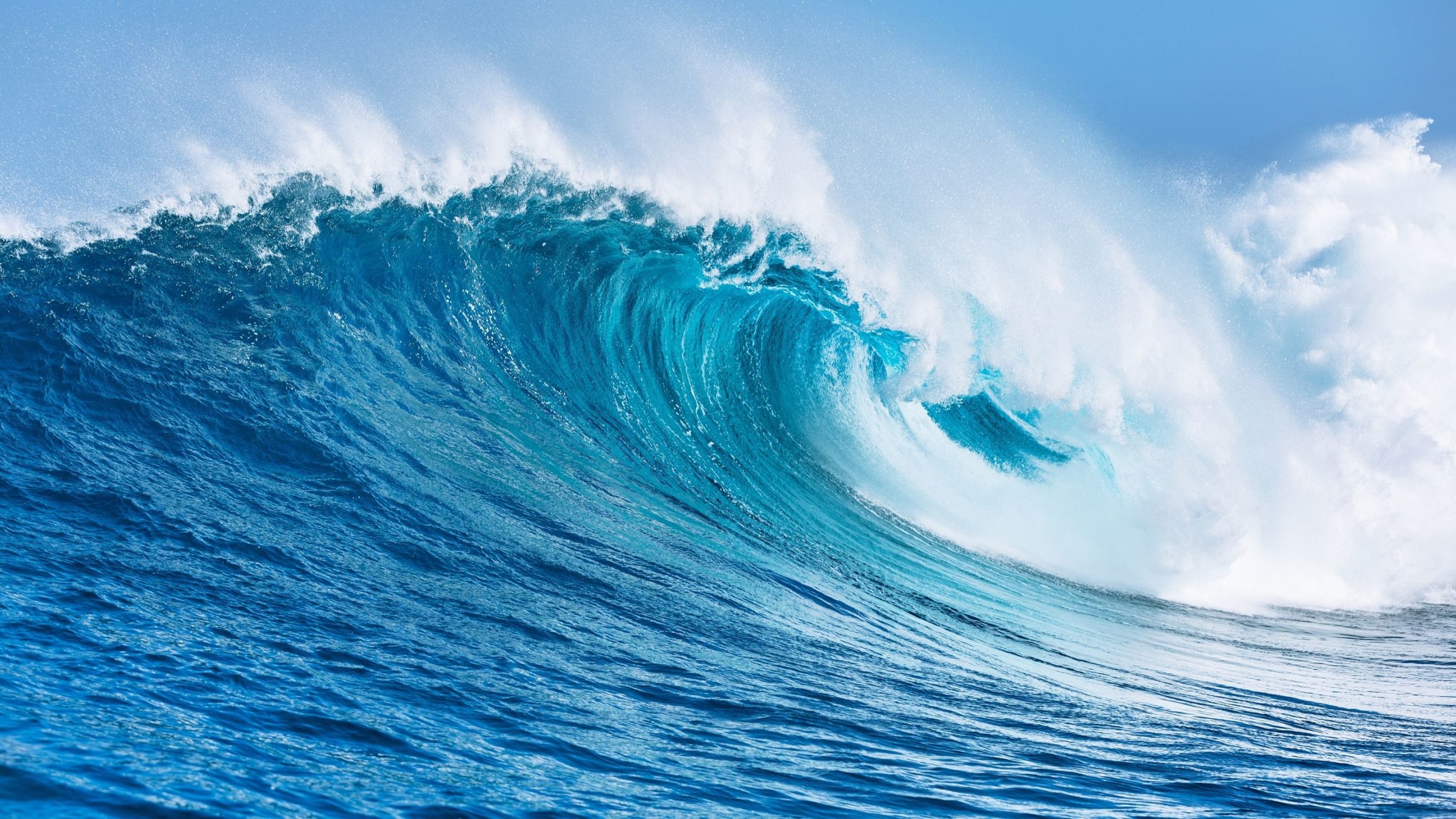 Al via il progetto “Ride The Wave – Ocean & Climate Literacy for Nautical Schools”