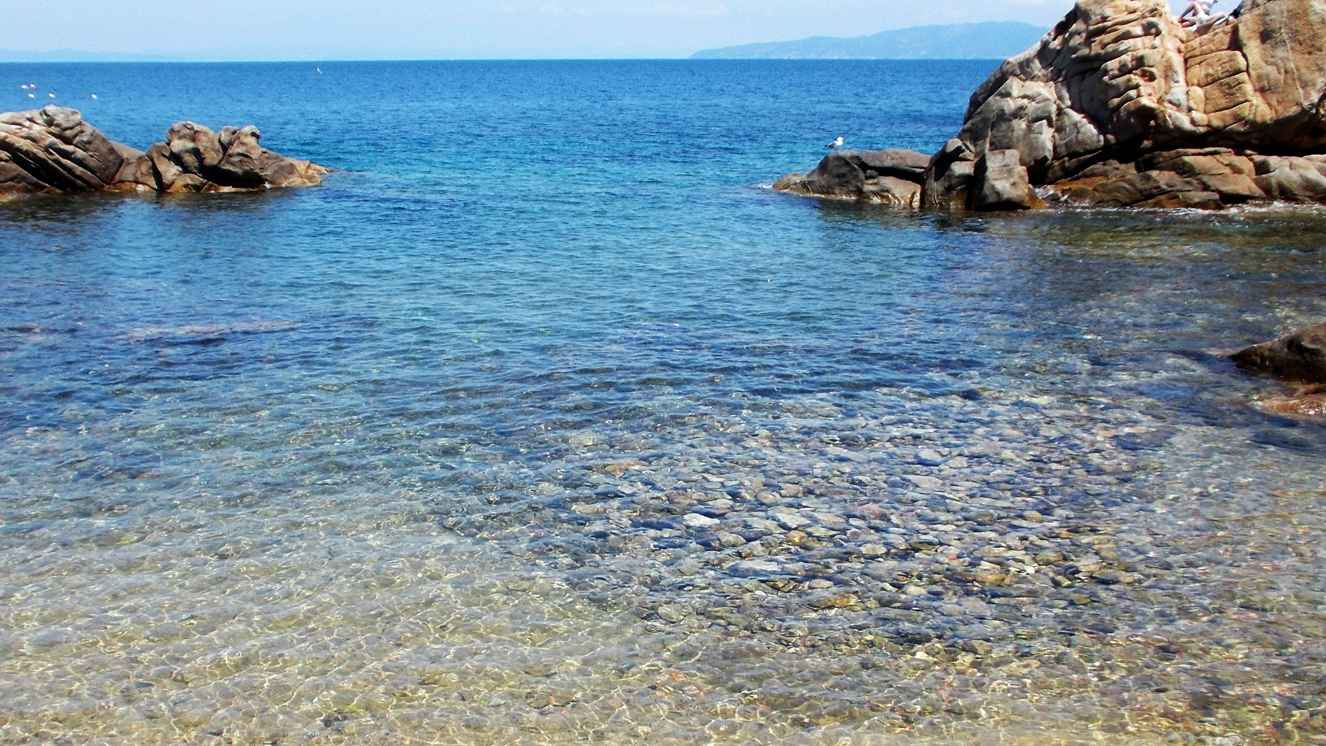 Life between the sand and the rocks