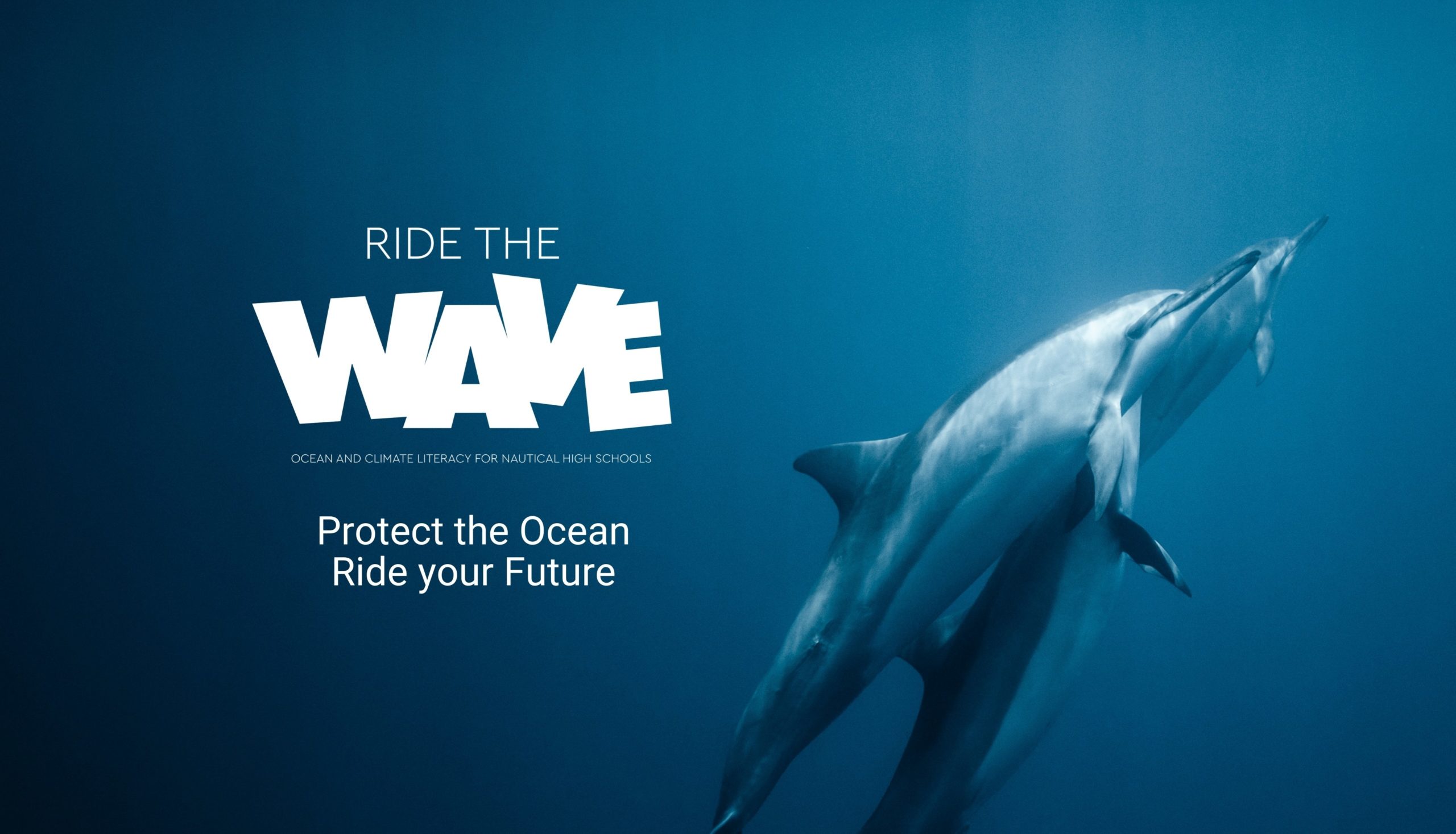 “Ride the Wave”: conclusi i tre webinar sull’Ocean&Climate Literacy con esperti internazionali