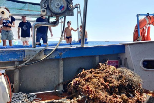 295866174 421137003377065 9025675730286869161 N