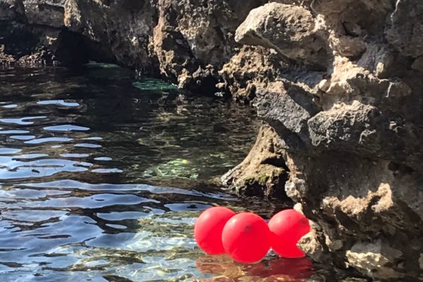 Palloncini 3 Palloncini 3