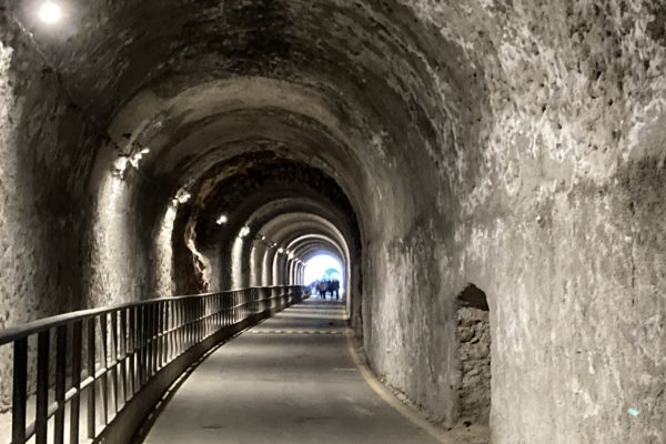 Photo 06-03-23, 09 12 31