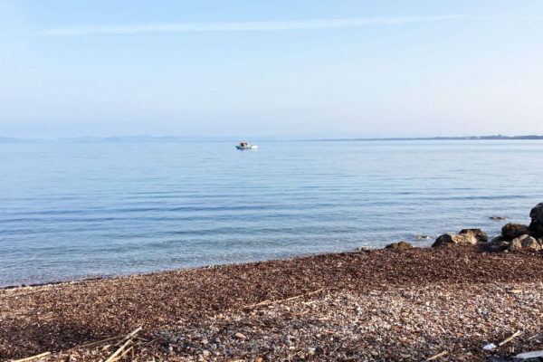 Photo-22-02-23,-09-10-22