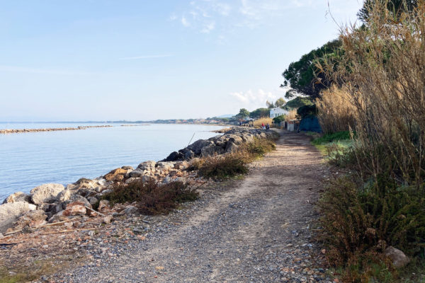 Photo-22-02-23,-09-43-55