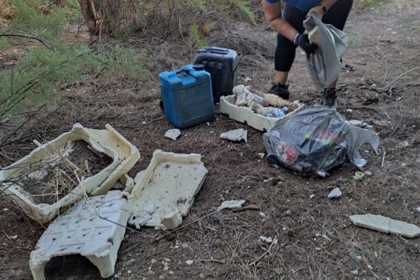 305313499 1329100984291224 6640108918682030990 N