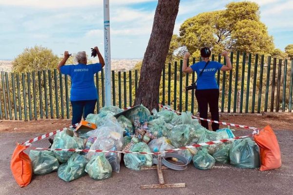 307007226 626239675580663 4489755318441683784 N 307007226 626239675580663 4489755318441683784 N