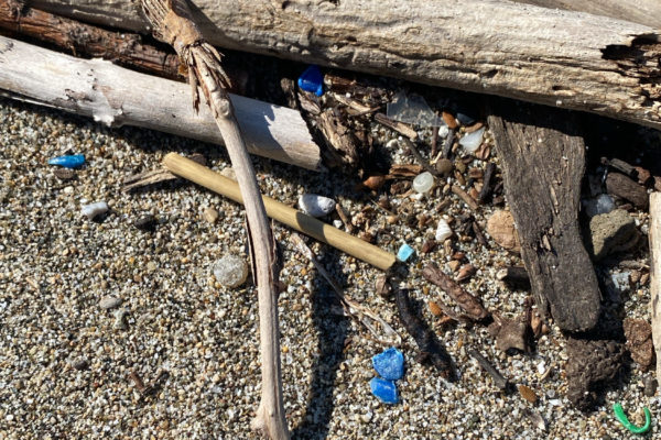 3CF424A9 CB61 49DA 8F73 AE320E52B395