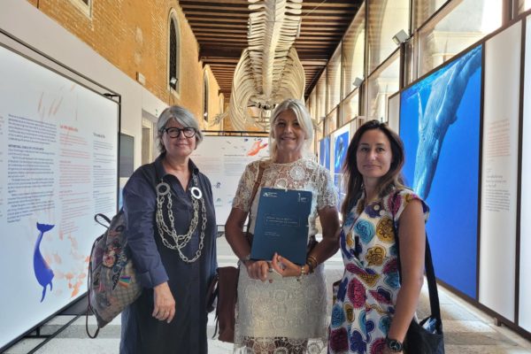 295281085 10222370603557577 8738281591052870544 N