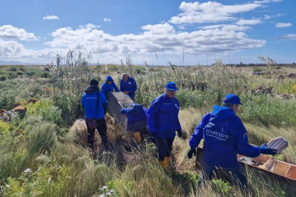 WhatsApp Image 2023 04 15 At 19.19.32 (2) WhatsApp Image 2023 04 15 At 19.19.32 (2)