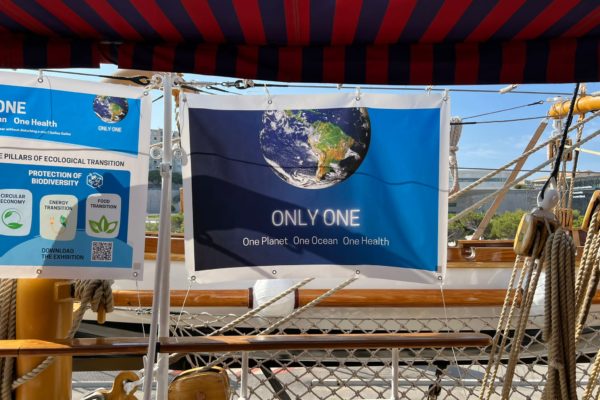 WhatsApp Image 2023-07-05 at 10.46.59