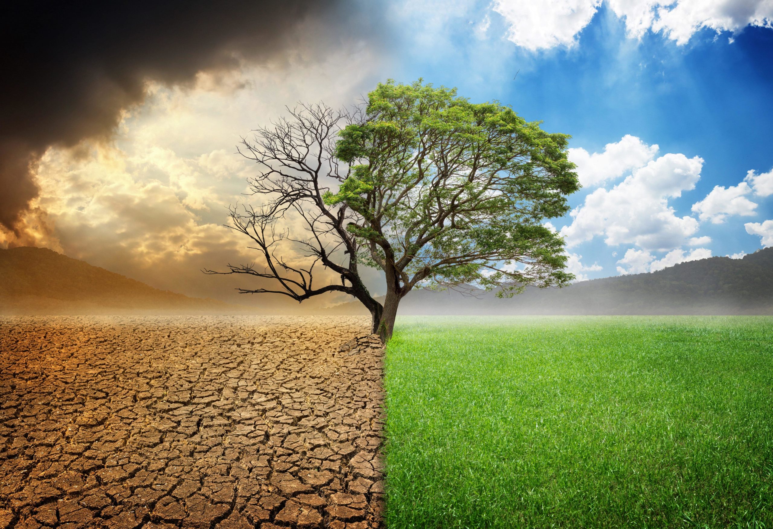 Speranza per il futuro dell’ambiente: l’Europarlamento approva la Nature Restoration Law