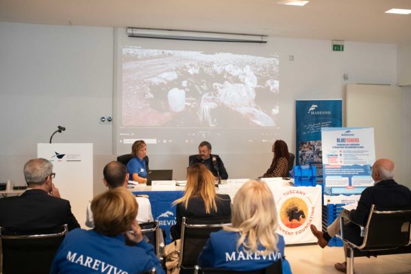 DSC8471 Copia DSC8471 Copia