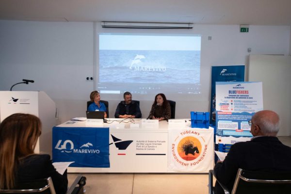 DSC8541 Copia DSC8541 Copia