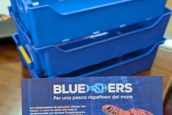 Bluefischers Sciacca2 Bluefischers Sciacca2