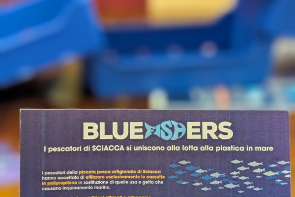 Bluefischers Sciacca3 Bluefischers Sciacca3
