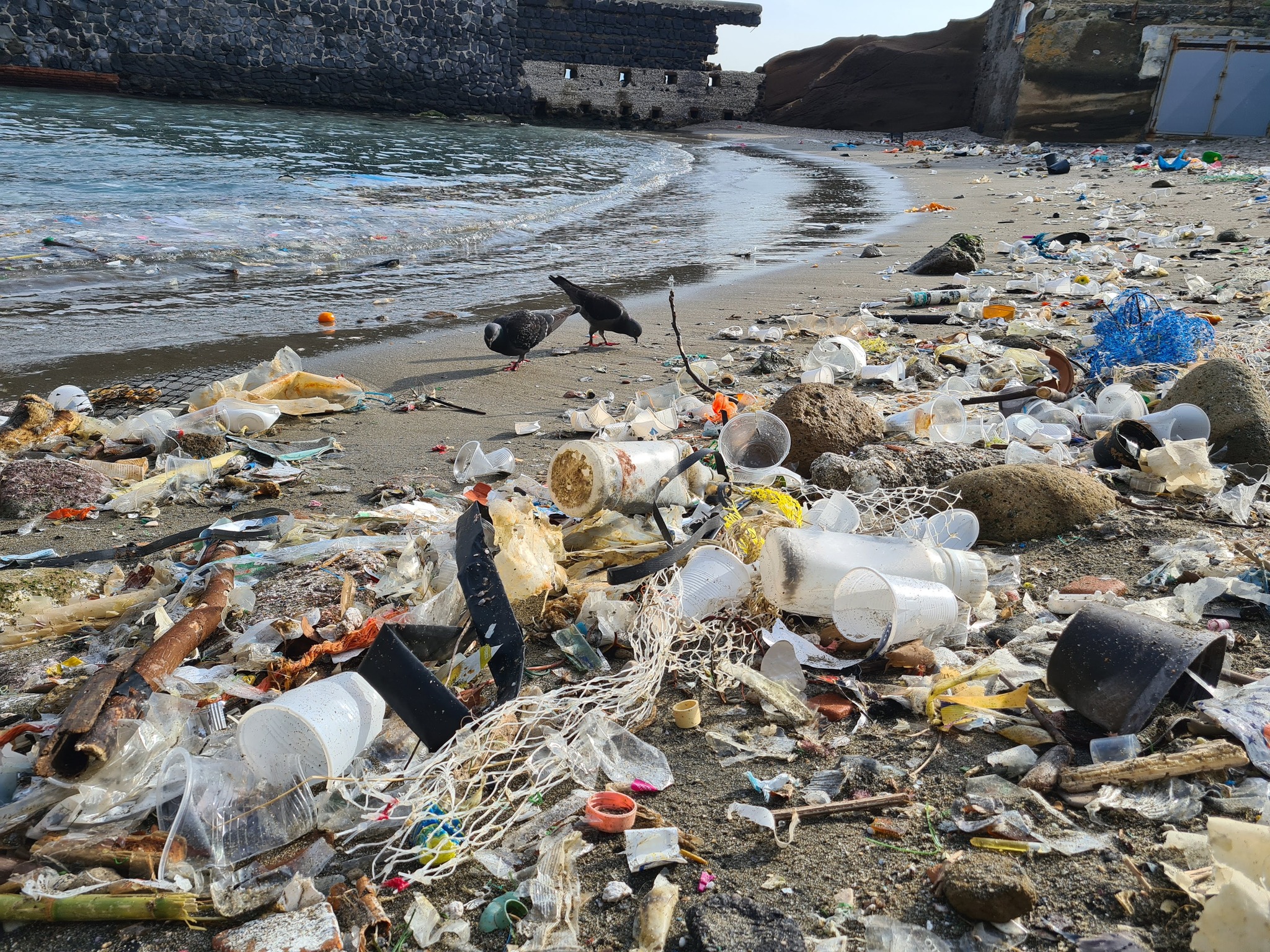 L’Area Marina Protetta – Parco Sommerso di Gaiola invasa da plastica e rifiuti: l’appello di Marevivo