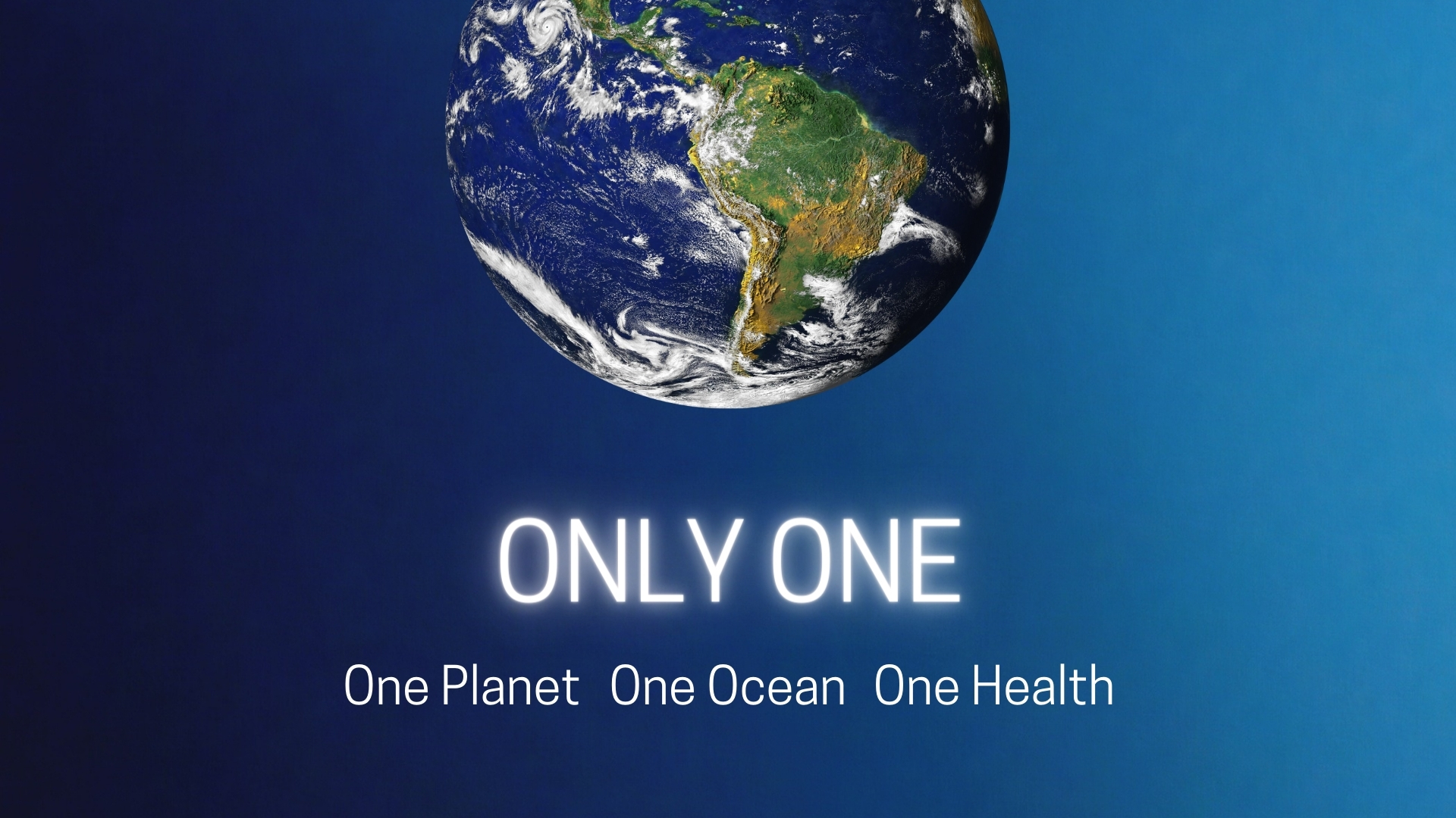 “Only One”: ospitata a Torino per il G7 Energia e Ambiente la campagna internazionale di Marevivo sull’urgenza di una transizione ecologica