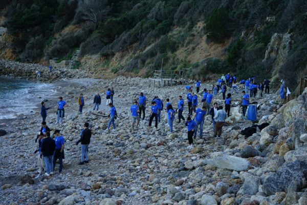 9bf7cc01 86b9 4df1 B9d9 436aa6da77f0